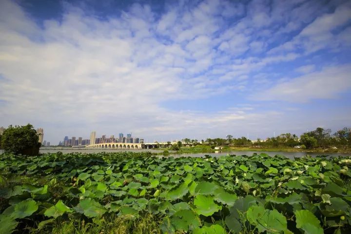 墨水灣項(xiang)目(mu)位于(yu)美麗的(de)墨水湖(hú)畔